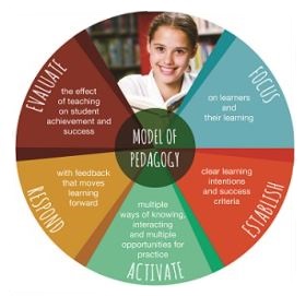 Circular ‘Model of Pedagogy’ diagram showing six connected focus areas: Evaluate (effect on teaching, achievement and success), Respond (how feedback moves learning forward), Activate (multiple ways of knowing, interacting, and practising competencies), Establish (clear learning intentions and success criteria), Focus (on learning and inner learning), and the central model of pedagogy.